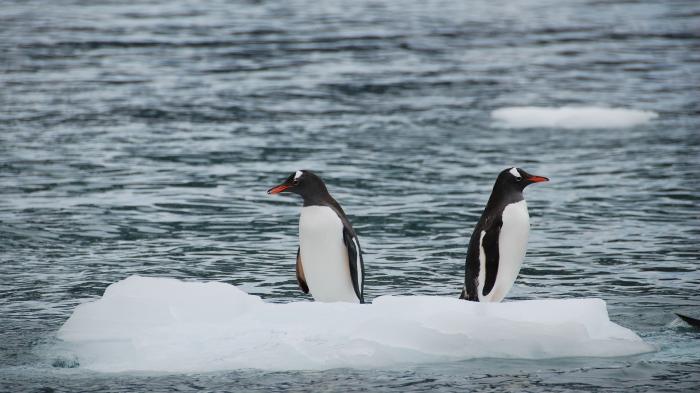 systemd-freies Debian: Devuan 2.0.0 erschienen
