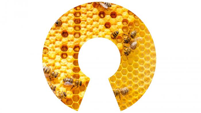 Open Source in Schweizer Unternehmen und Behörden im Aufwind
