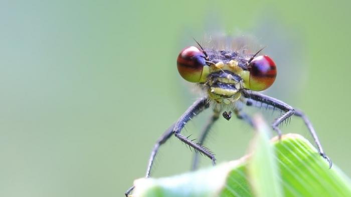 Zwischen Grün und Grau: Die Bilder der Woche (KW 27)