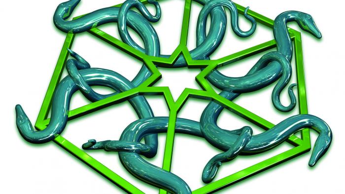 Python ist dritte von GitHubs Security-Scanner unterstützte Programmiersprache