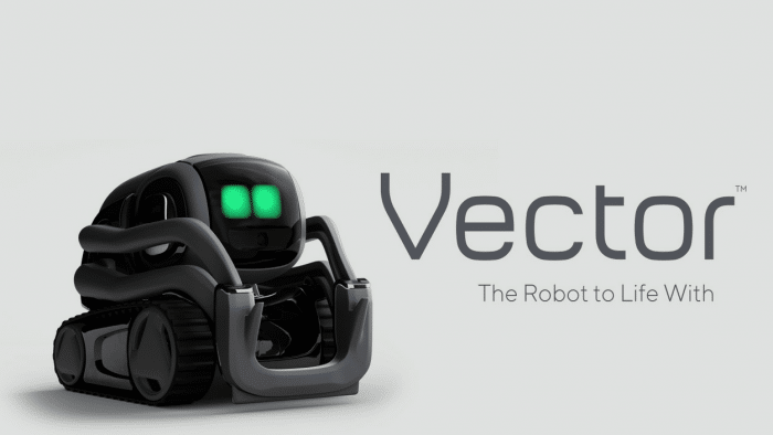Anki Vector
