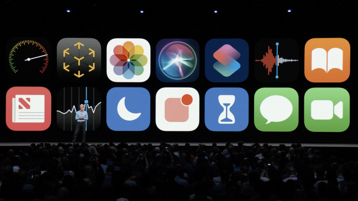 iOS 12