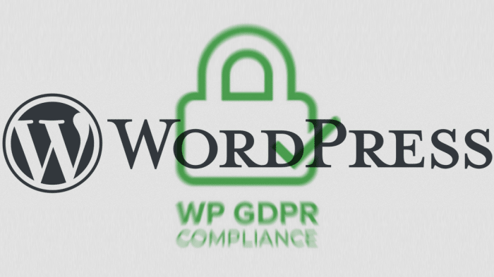 DSGVO-Plugin macht WordPress angreifbar