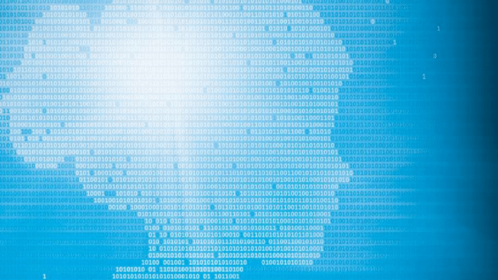 RIPE 79: Vom IT-Studium und umgekehrten Geschlechterverhältnissen