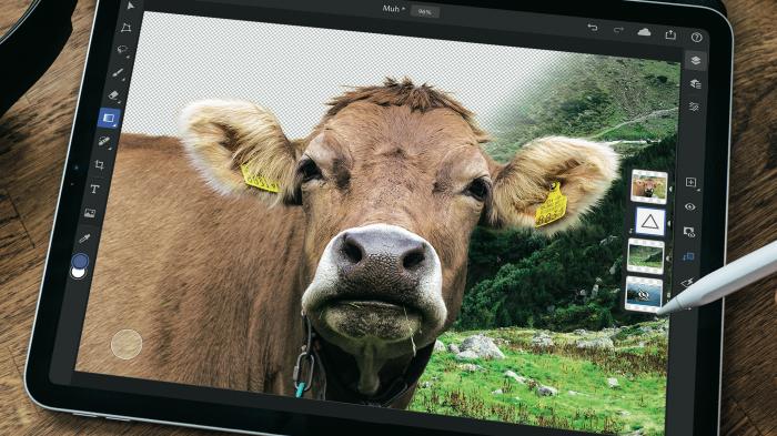 Bildbearbeitung auf dem iPad: Photohsop mobil unter der Lupe