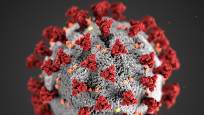 Coronavirus-Forschung: Stanford-Wissenschaftler bitten um Rechenressourcen