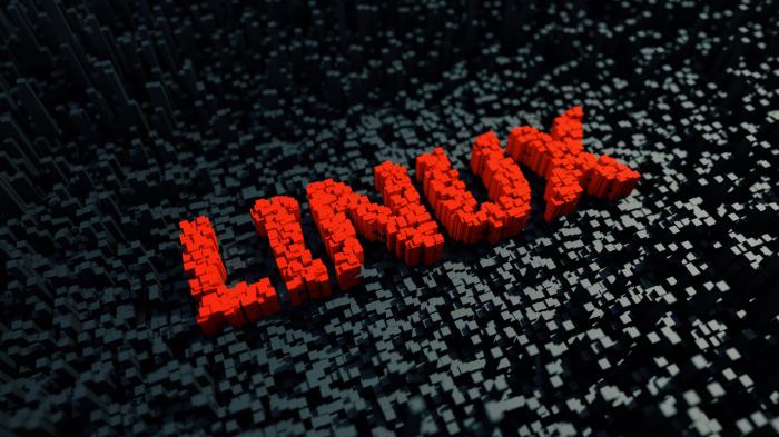 Cloud: Microsoft präsentiert ein neues Sicherheitsmodul für den Linux-Kernel