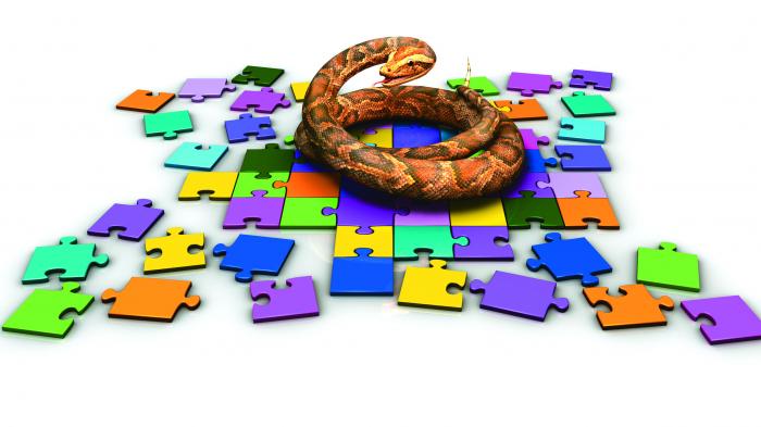 Webframework: Django 3.1 unterstützt asynchrone Anfragepfade