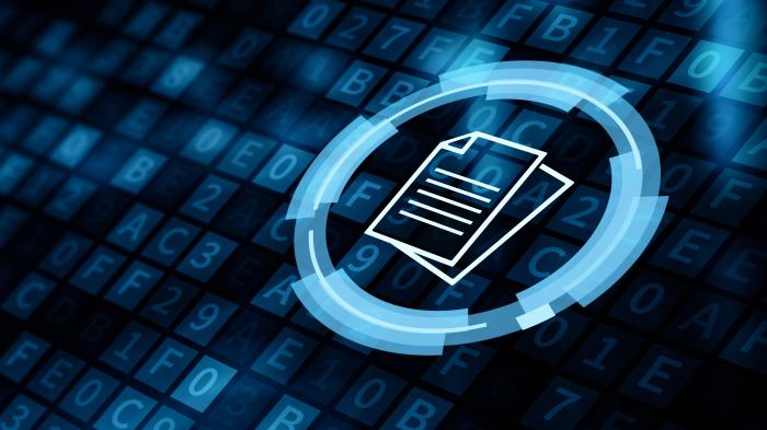Mit vielen nativen Admin- und Sicherheitsfunktionen: SFTPGo 1.0.0 erschienen