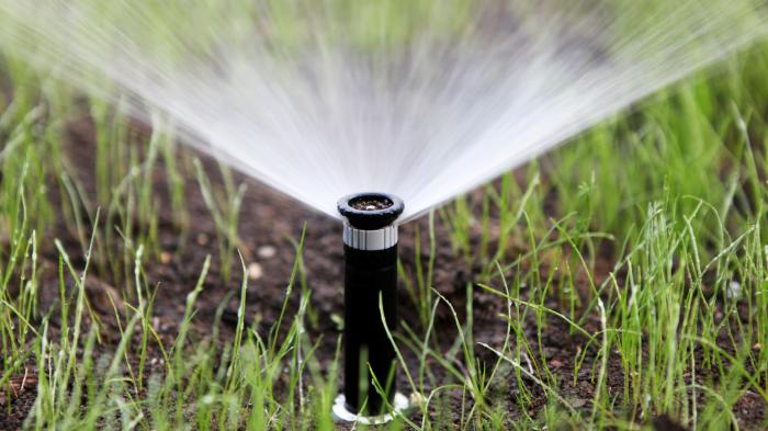 Marktübersicht: Das können smarte Bewässerungssysteme