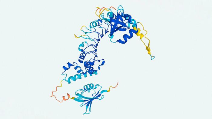 Struktur des Proteins 