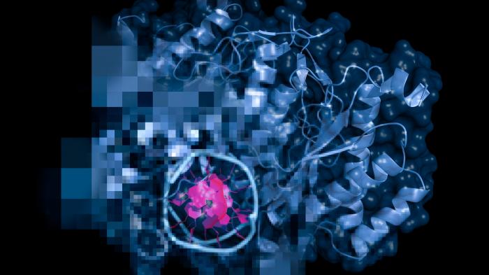 KI-gestütztes Modell zur Vorhersage von Enzymfunktionen