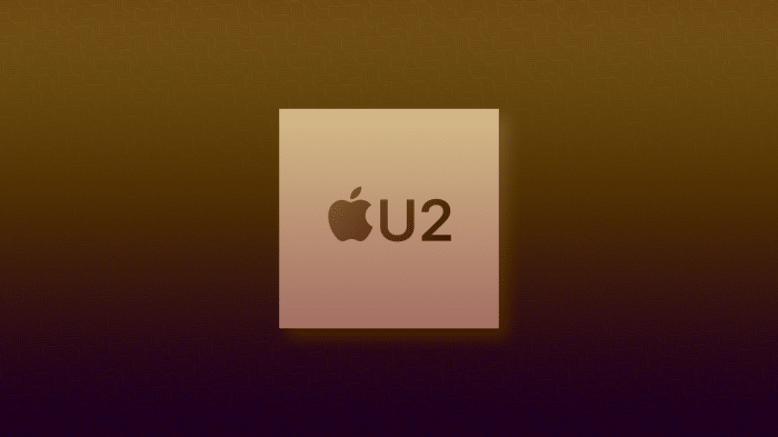 Apple U2-Chip