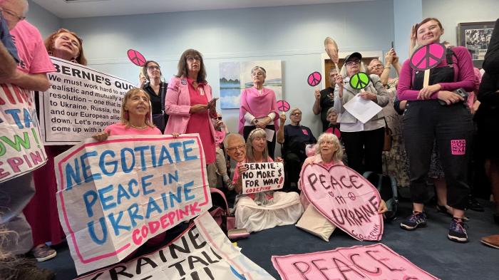 Aktivistinnen der US-Organisation Code Pink