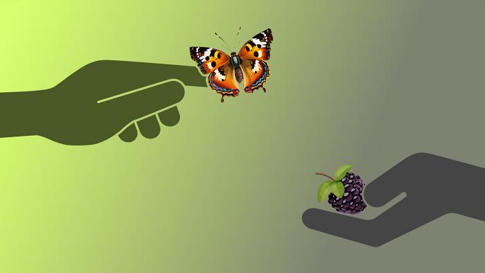 HAnd mit Schmetterling auf Finger und Hand mit Brombeere