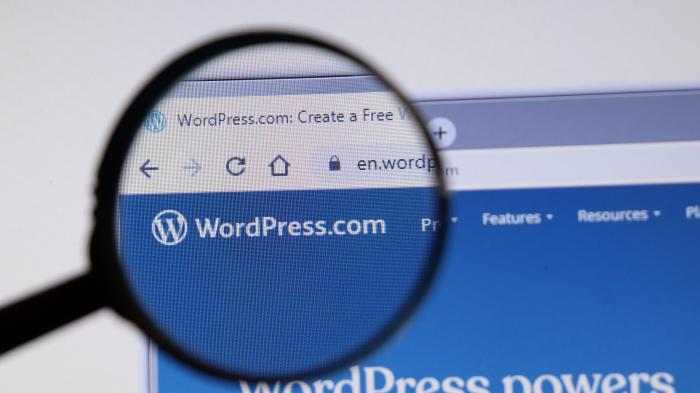 Lupe auf der Website Wordpress.com