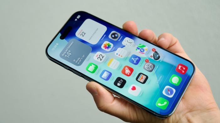 Ein in der Hand gehaltenes iPhone zeigt den Homescreen