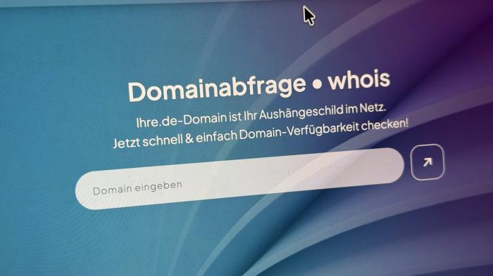 WHOIS-Abfrage-Formular auf der Seite des DENIC
