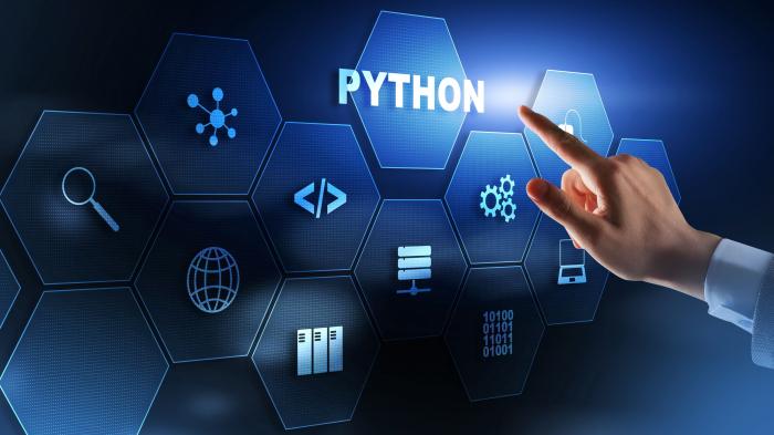 Eine Hand zeigt auf den Schriftzug Python