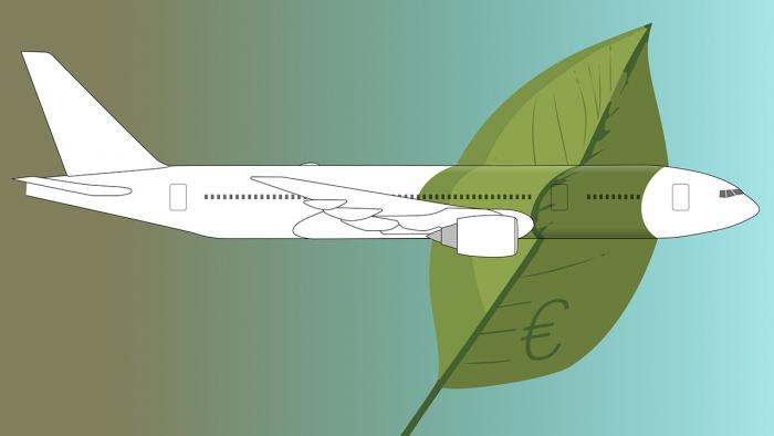Flugzeug wird von Blatt umhüllt