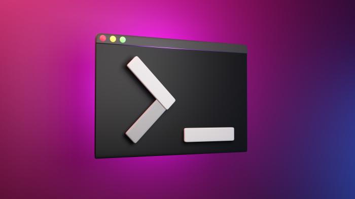 macOS-Terminal (Illustration)