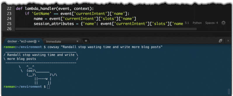 Der Editor bietet direkten Zugriff auf die Kommandozeile von AWS.