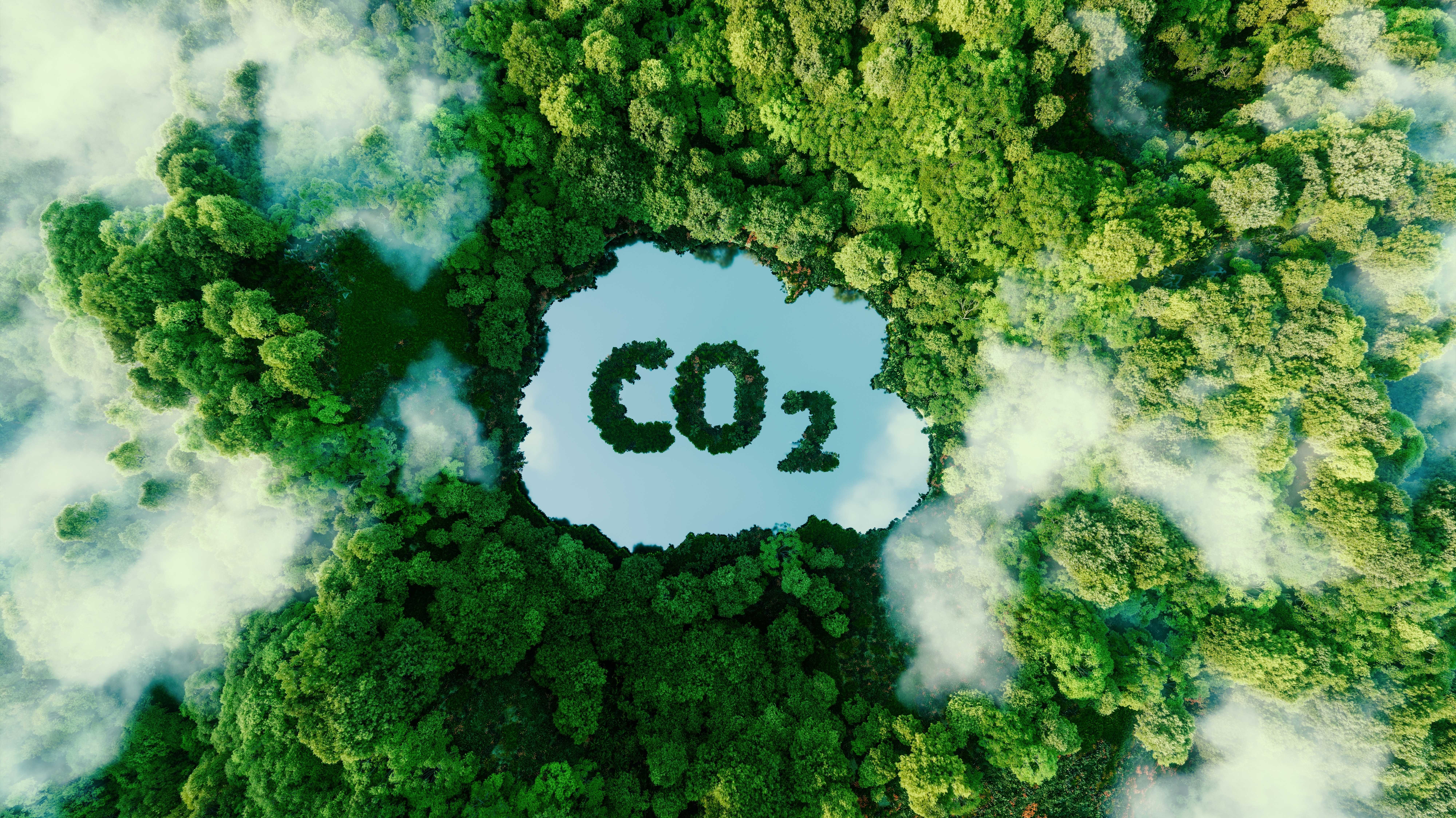 Darstellung der Kohlendioxidemissionen und ihrer Auswirkungen auf die Natur in Form eines Teiches in Form eines CO2-Symbols
