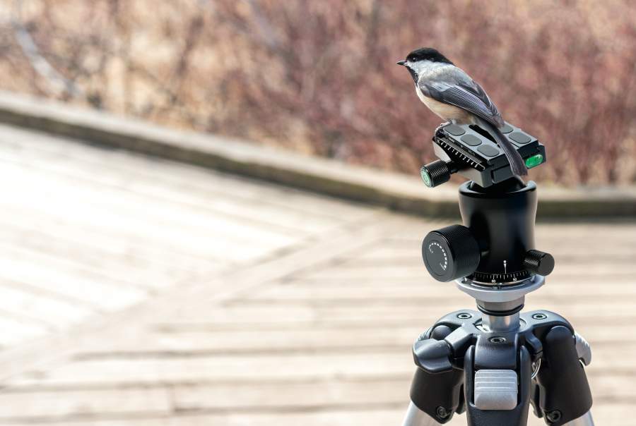Aufmacherbild