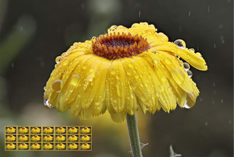 Aufmacherbild