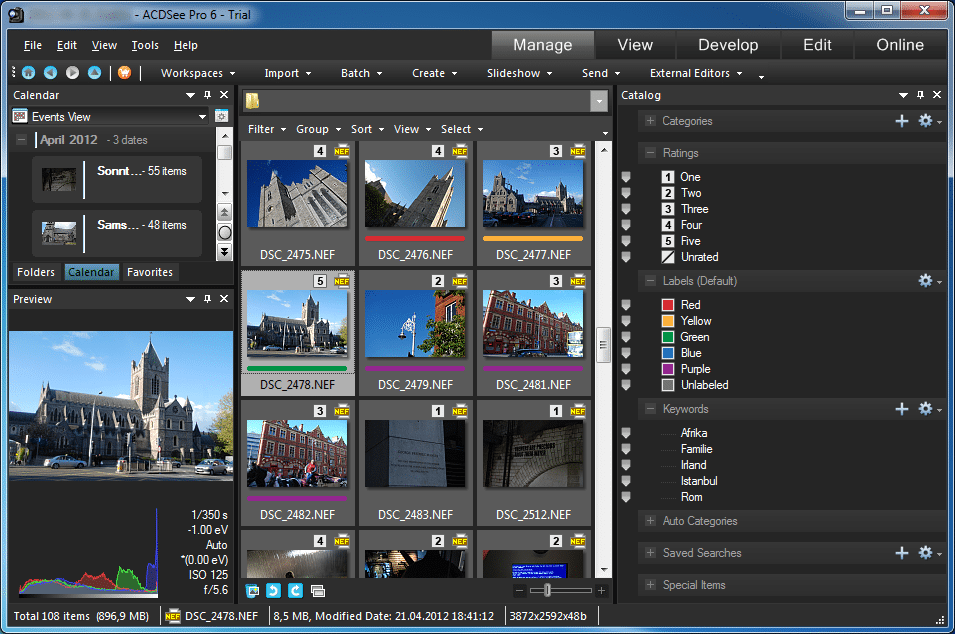 ACDSee 6 Pro läuft als 64-Bit-Anwendung. Die Bildverwaltung erhält ein eigenes Panel für Stichwörter.