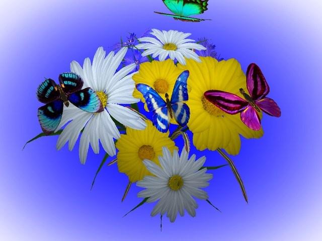 3d Wonderful Flowers Heise Download