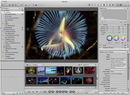 Download aperture 3.6 update dmg free